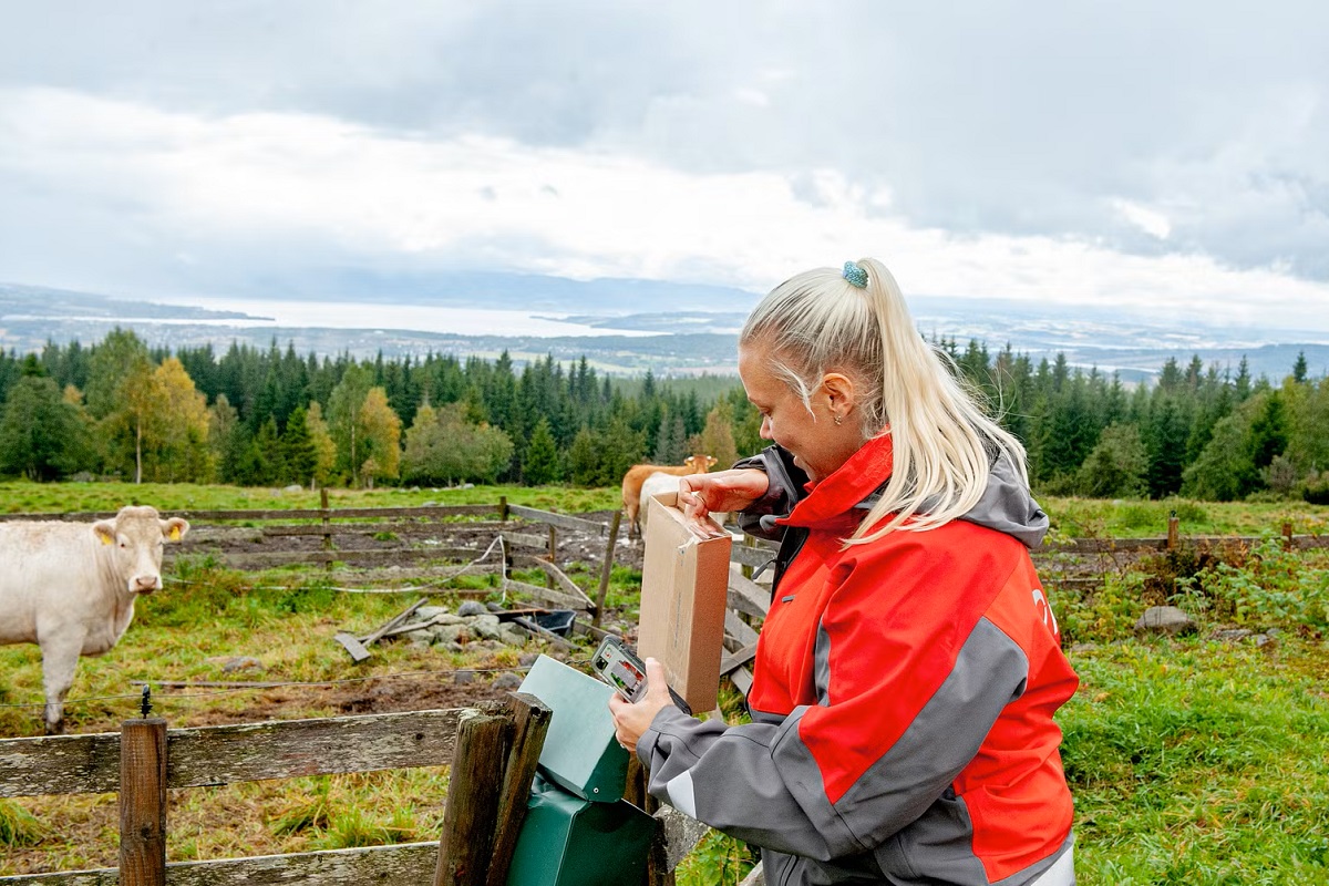 Posten Bring package delivery in rural Norway